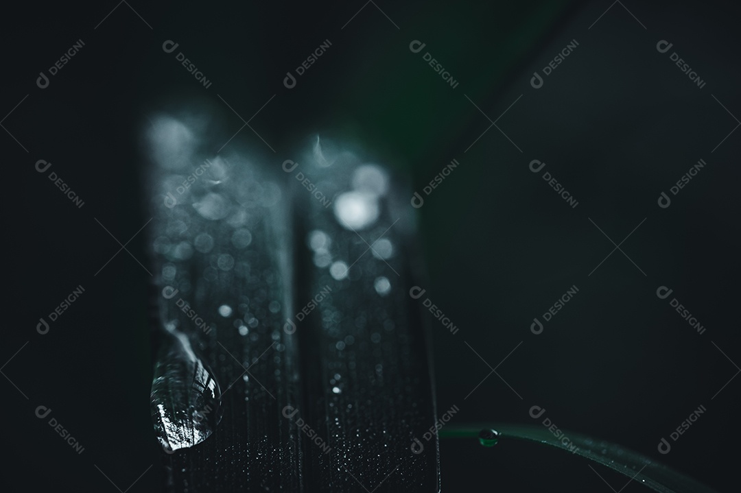 O conceito de amar o ambiente verde do mundo