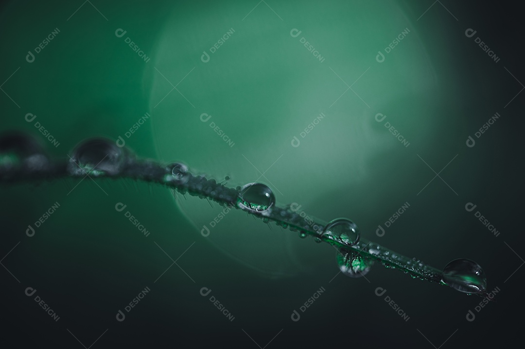 O conceito de amar o ambiente verde do mundo