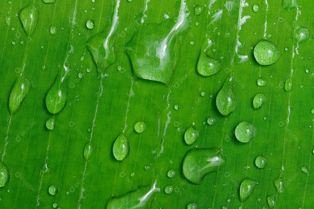 O conceito de amar o ambiente verde do mundo Gotas de água