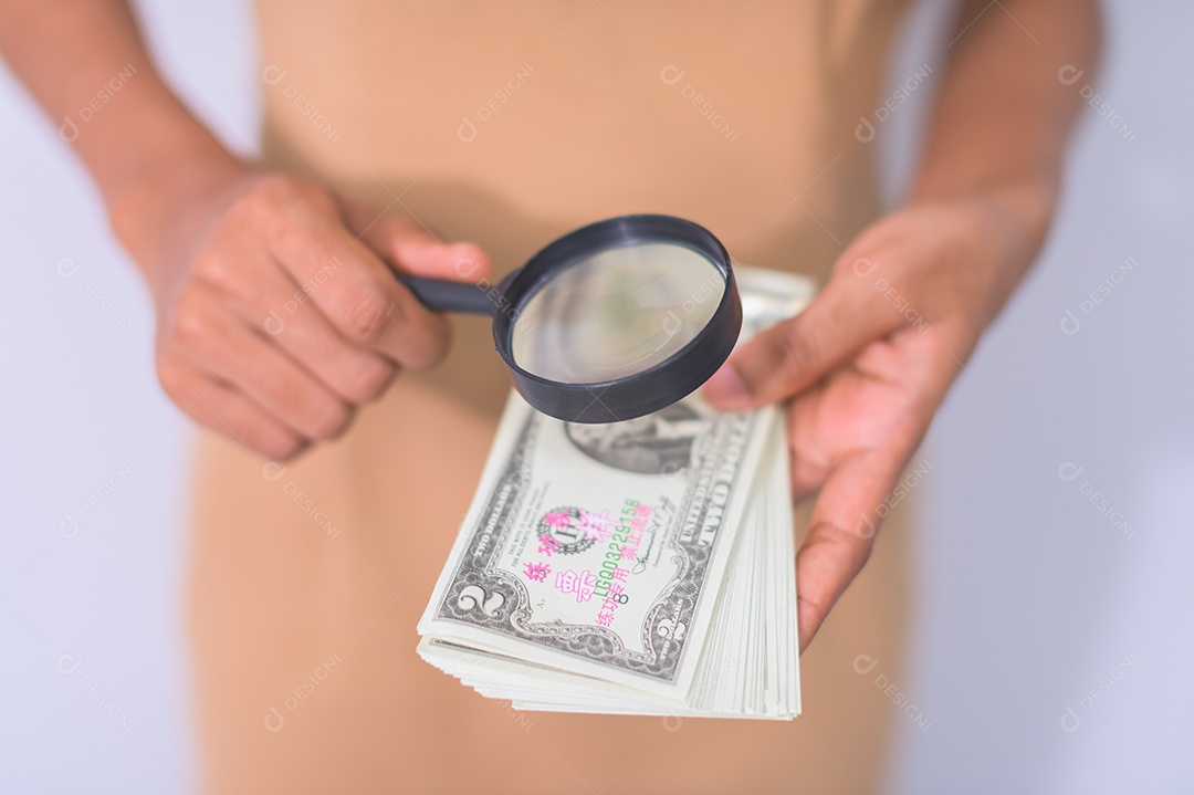 Ideia de mulheres de negócios ganhando dinheiro e economizando dinheiro