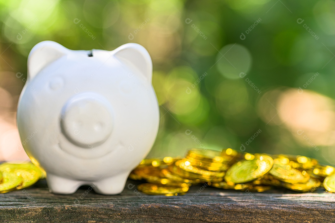 Cofrinho economizar dinheiro fundo bokeh natureza