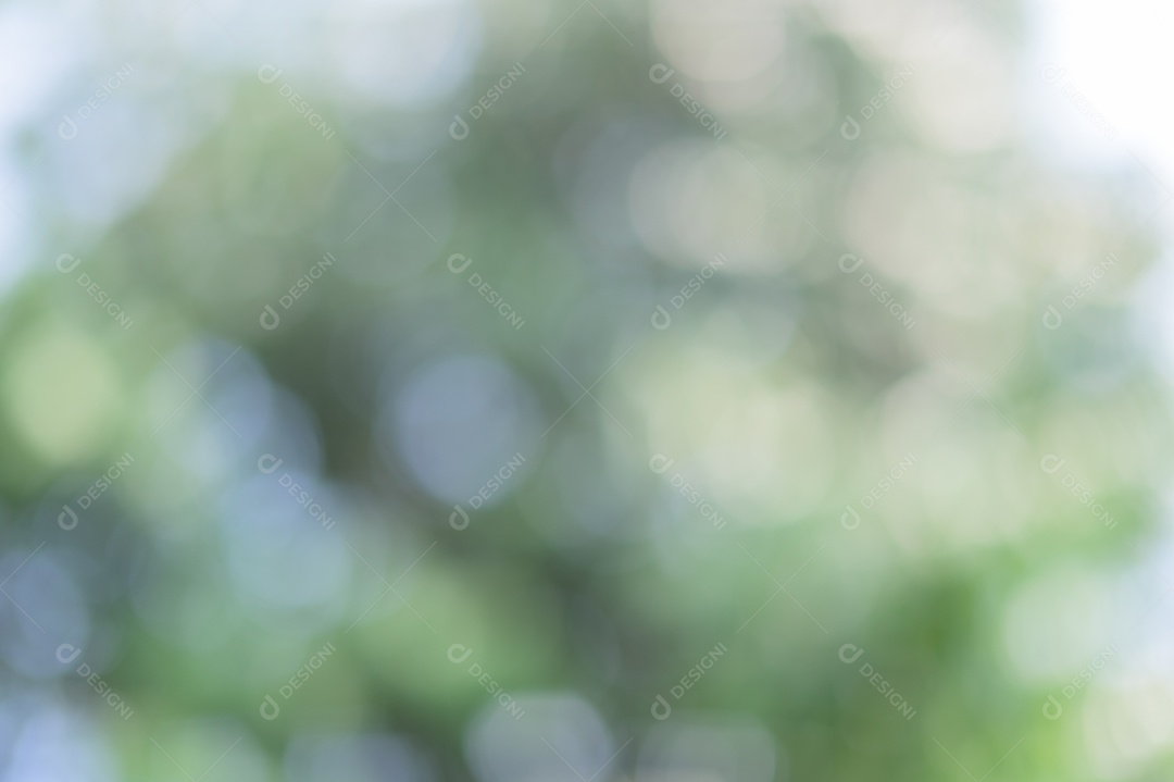 Bokeh de luz verde da luz natural