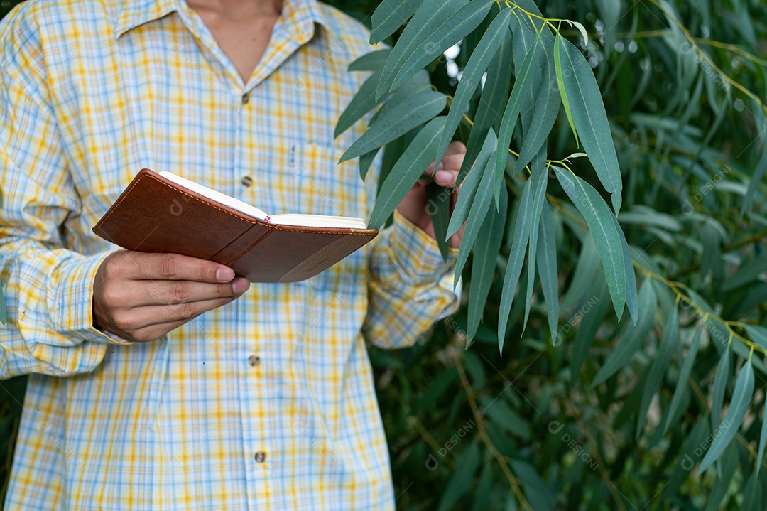 Os agricultores verificam a qualidade das árvores no jardim