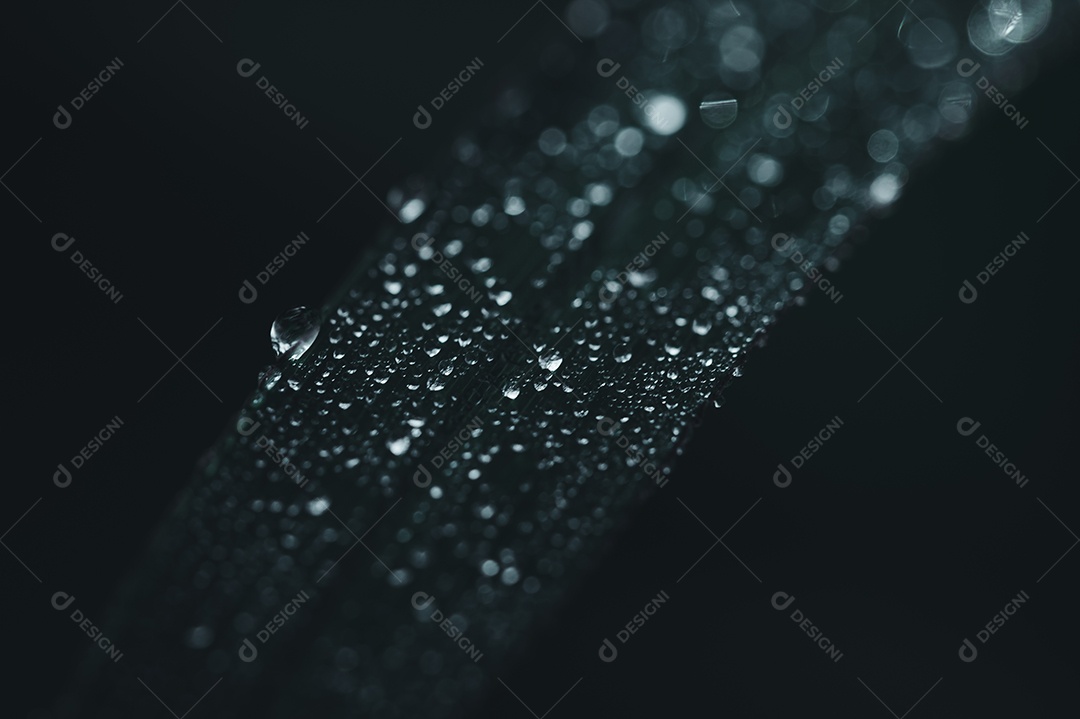 O conceito de amar o ambiente verde do mundo Gotas de água