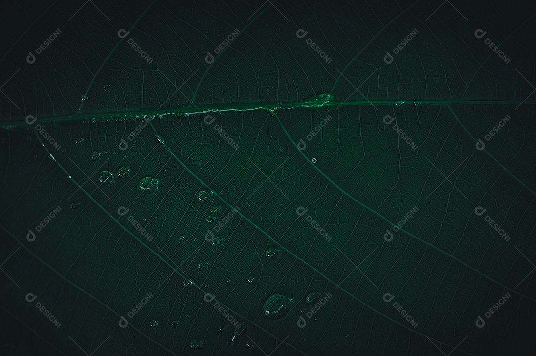 O conceito de amar o ambiente verde do mundo Gotas de água