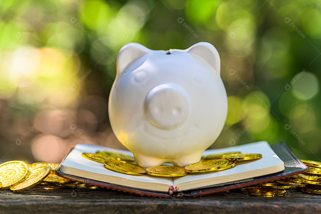 Cofrinho economizar dinheiro fundo bokeh natureza