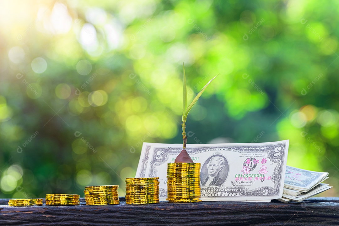 Conceito de economia de dinheiro e crescimento dos negócios