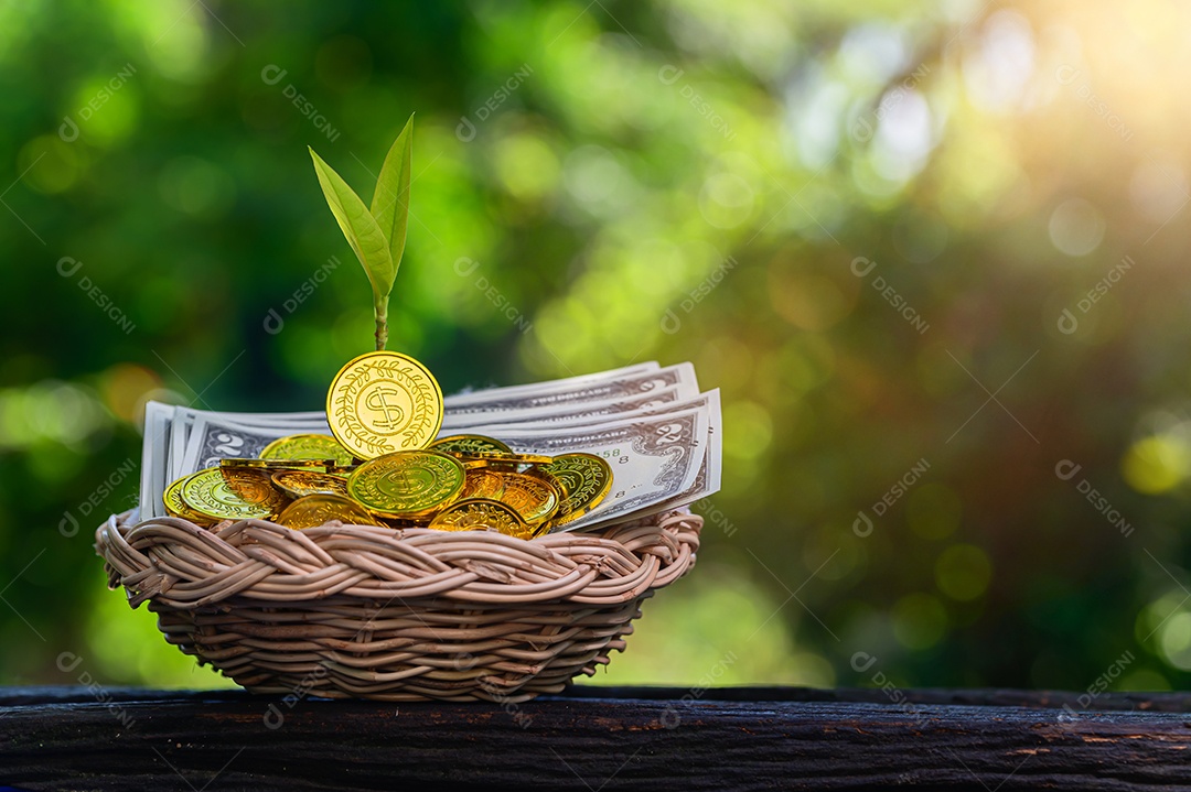 Conceito de economizar dinheiro para o futuro