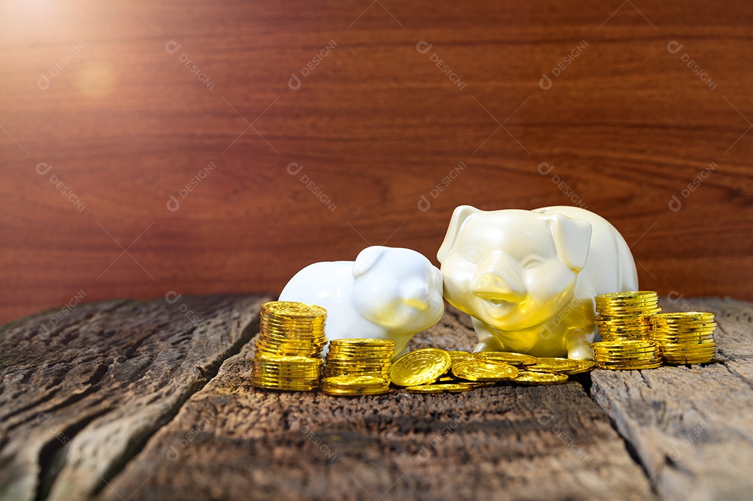 Conceito de coleção de dinheiro de dois porcos brancos