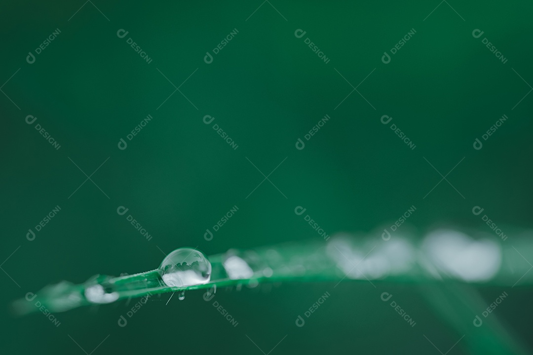 Fundo de conceito de gota de água de amor ambiental