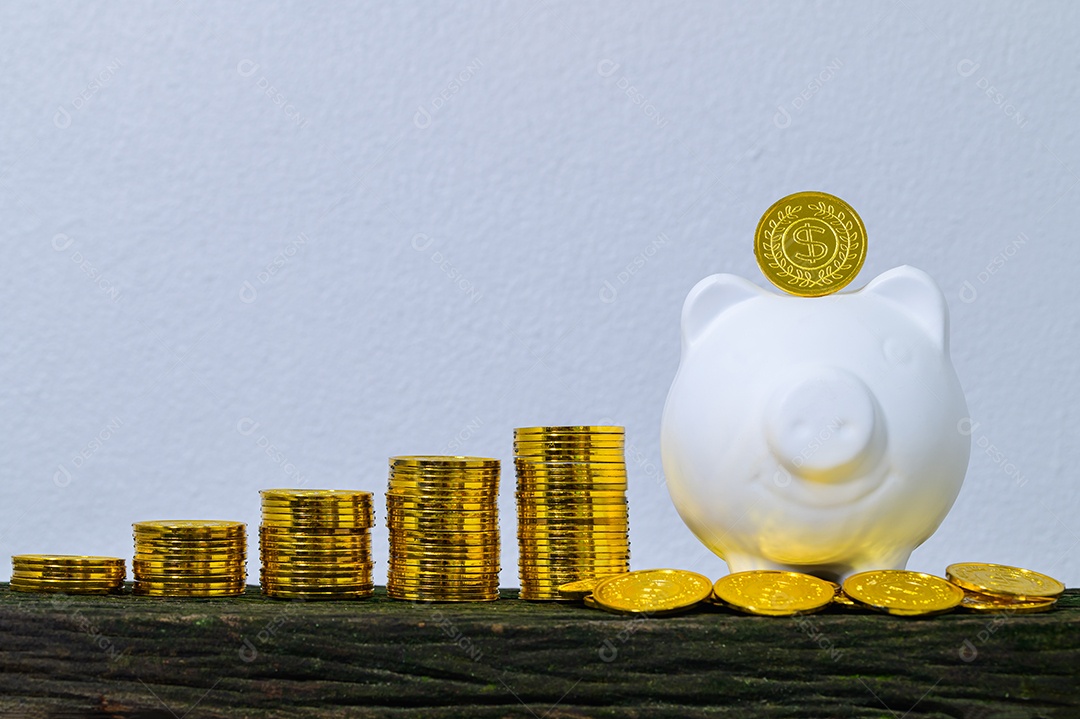 Conceito de economizar dinheiro porco