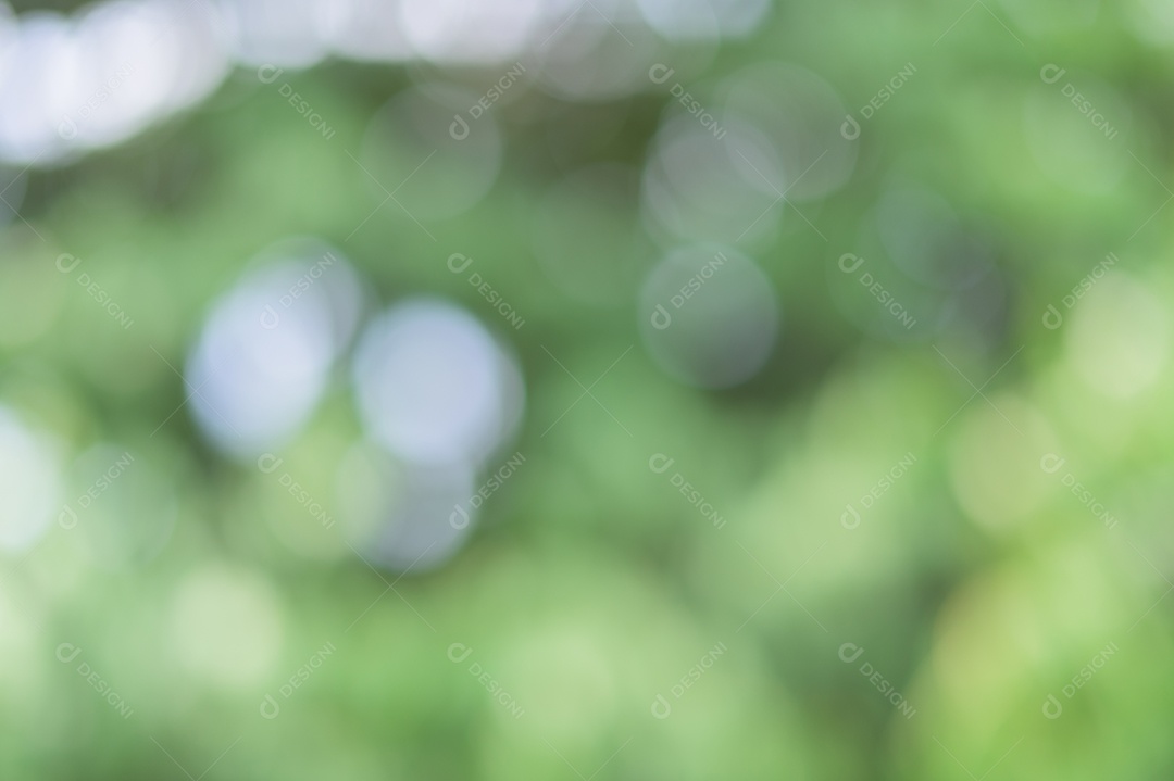 Bokeh de luz verde da luz natural