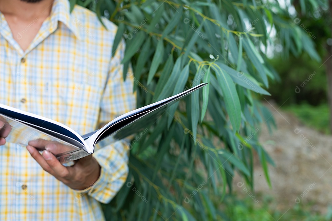 Os agricultores verificam a qualidade das árvores no jardim