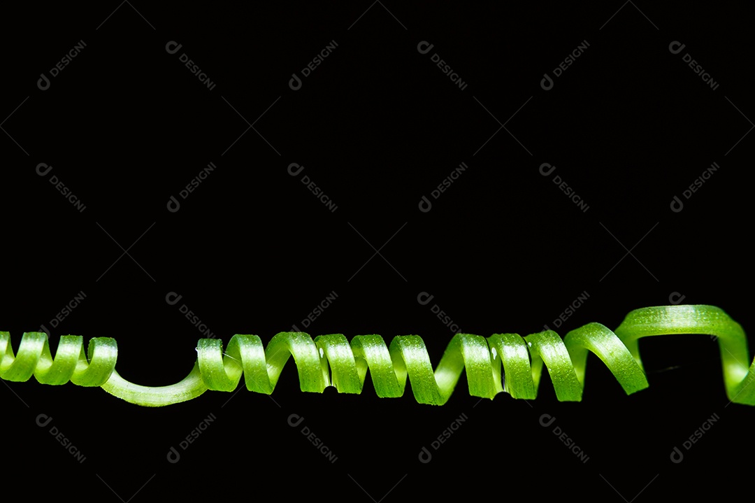 O conceito de amar o ambiente verde do mundo Gotas de água o