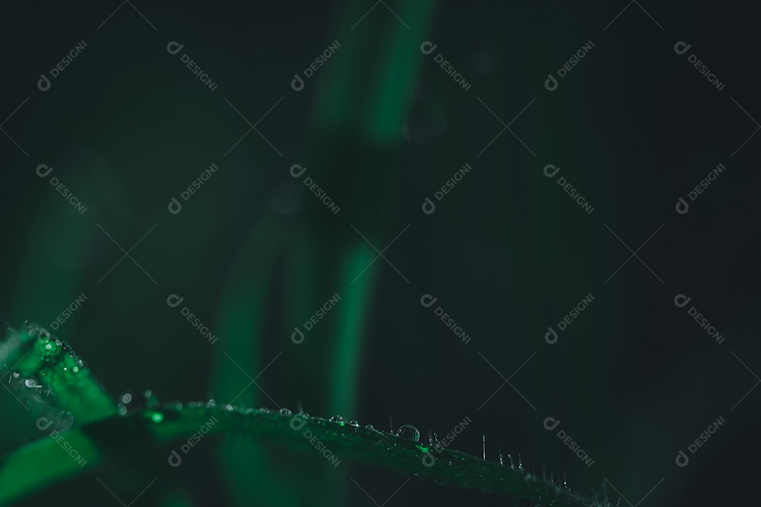 O conceito de amar o ambiente verde do mundo