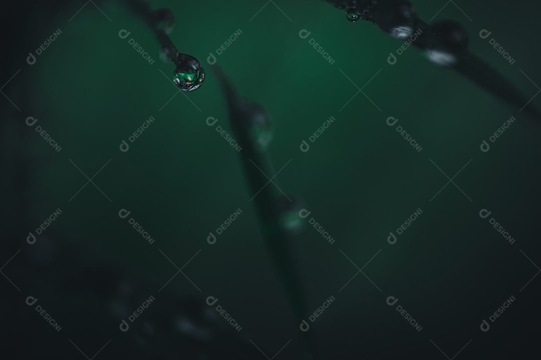 O conceito de amar o ambiente verde do mundo