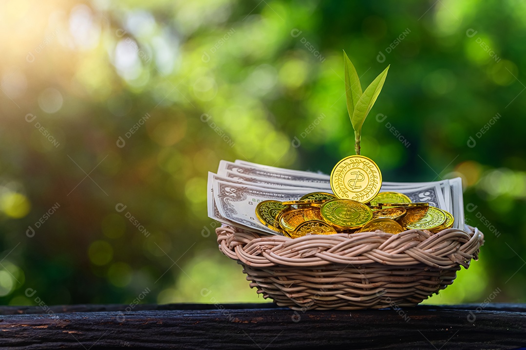 Planta crescendo em moedas de poupança fundo verde Bokeh com luz do sol