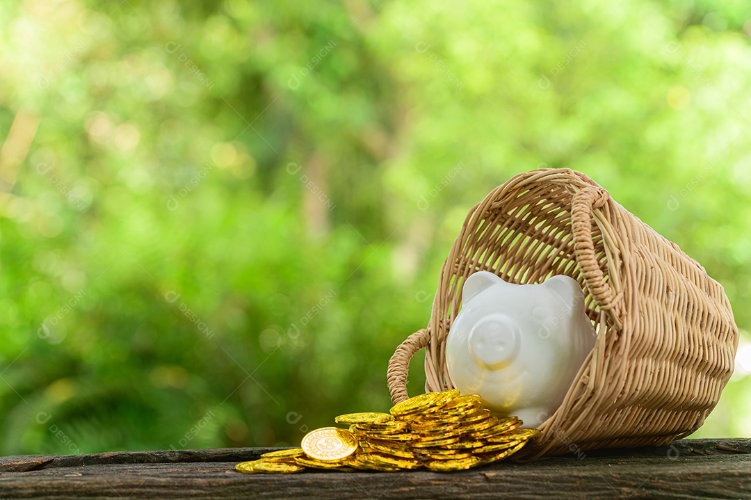 Conceito de economia de dinheiro Desfoque verde bokeh de fundo