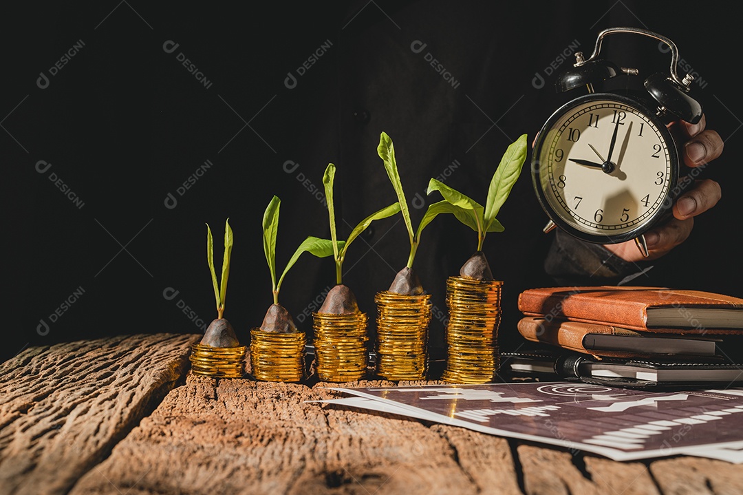 Conceito de investimento, crescimento financeiro leva tempo.