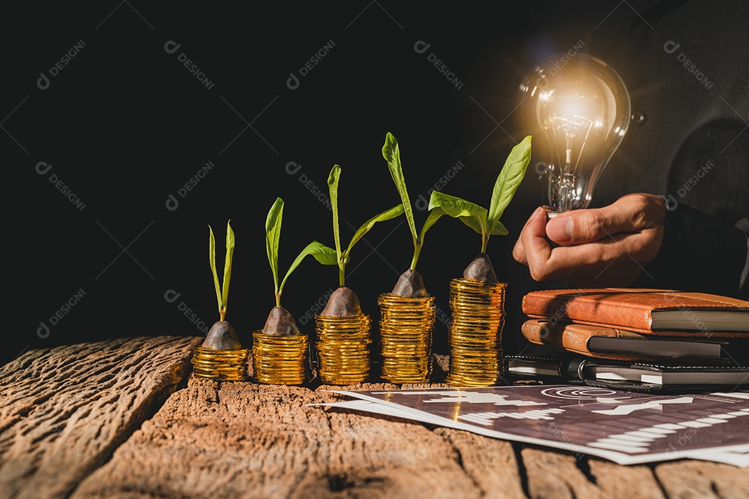 Conceito de investimento, crescimento financeiro leva tempo.