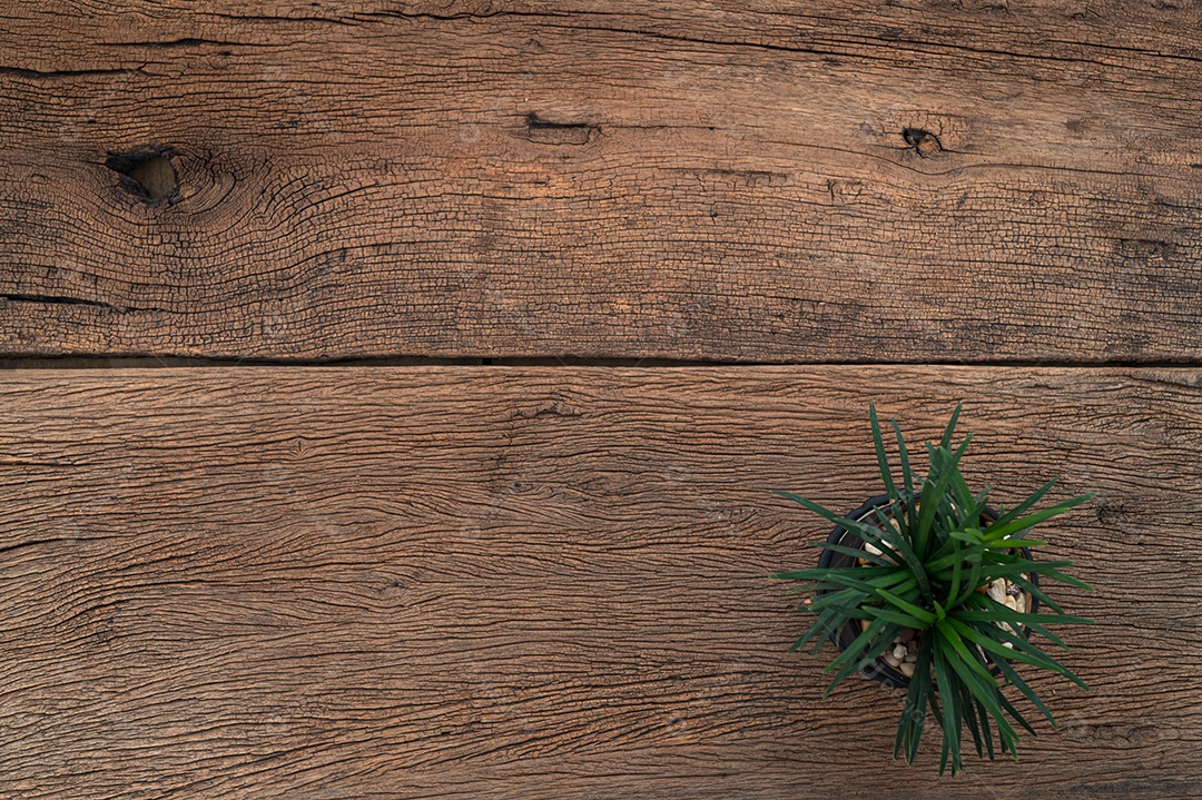 Árvores na vista superior da mesa de madeira