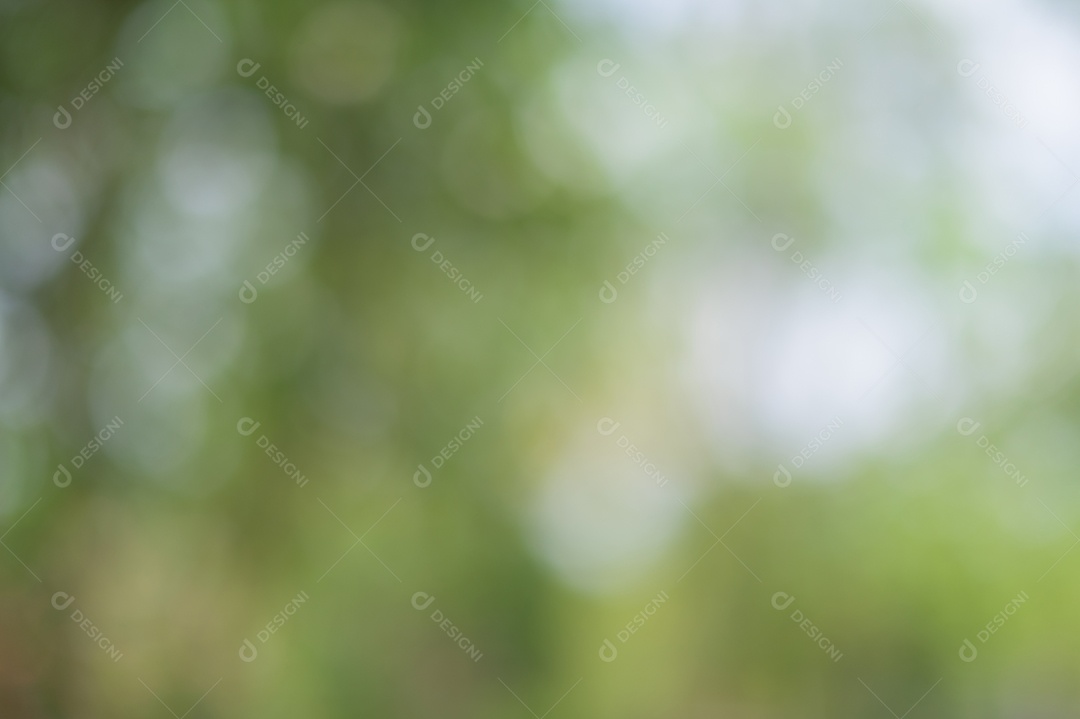 Bokeh de luz verde da luz natural