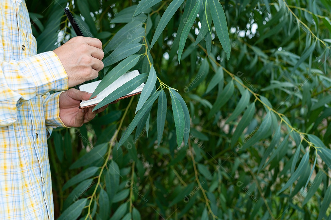 Os agricultores verificam a qualidade das árvores no jardim