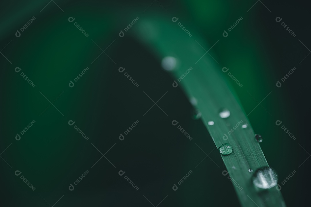 O conceito de amar o ambiente verde do mundo Gotas de água