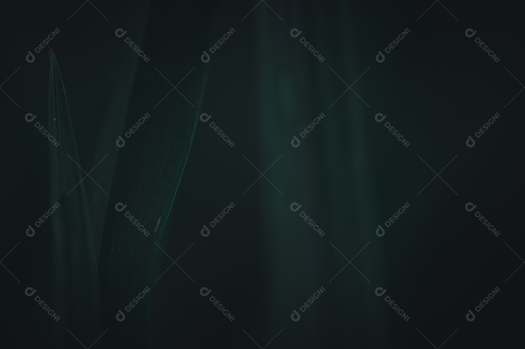 O conceito de amar o ambiente verde do mundo Gotas de água