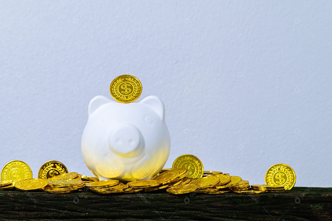 Conceito de economizar dinheiro porco