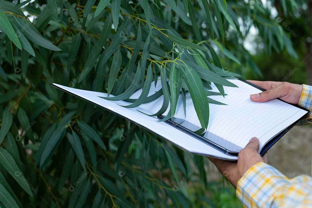 Os agricultores verificam a qualidade das árvores no jardim