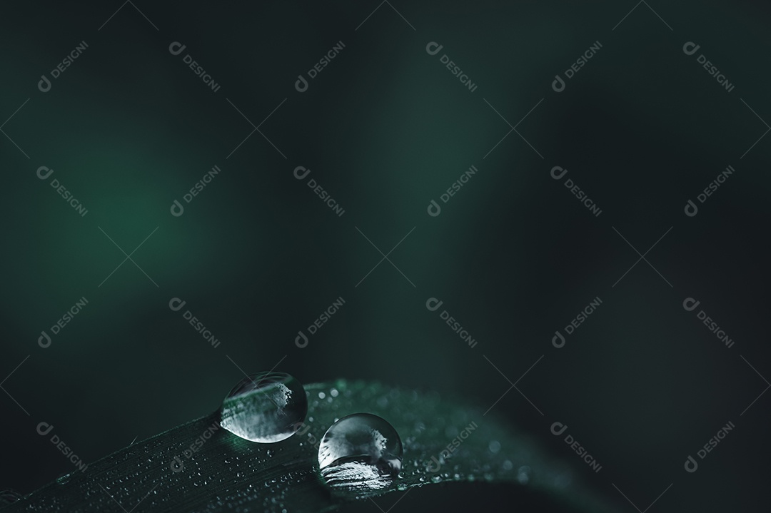 O conceito de amar o ambiente verde do mundo