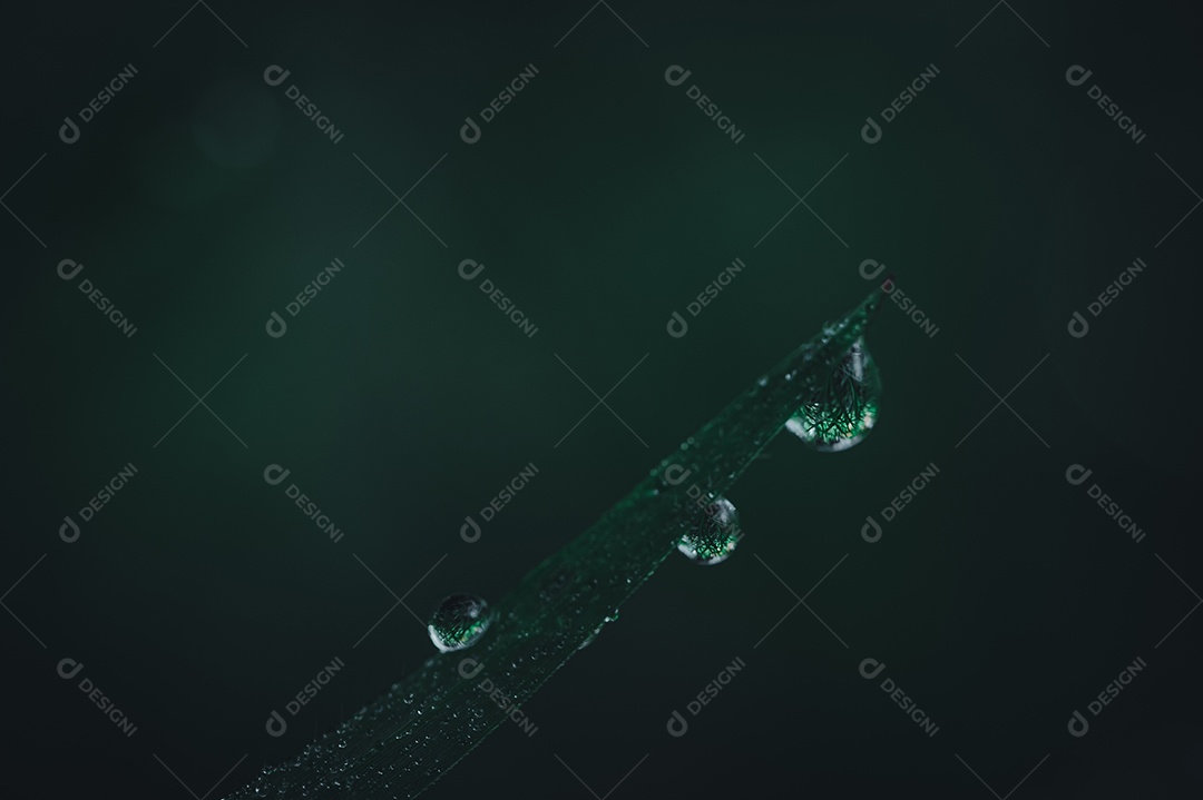 O conceito de amar o ambiente verde do mundo