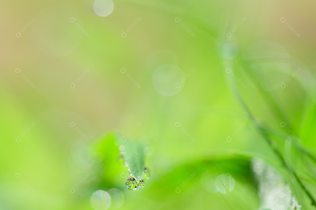 O conceito de amar o ambiente verde do mundo