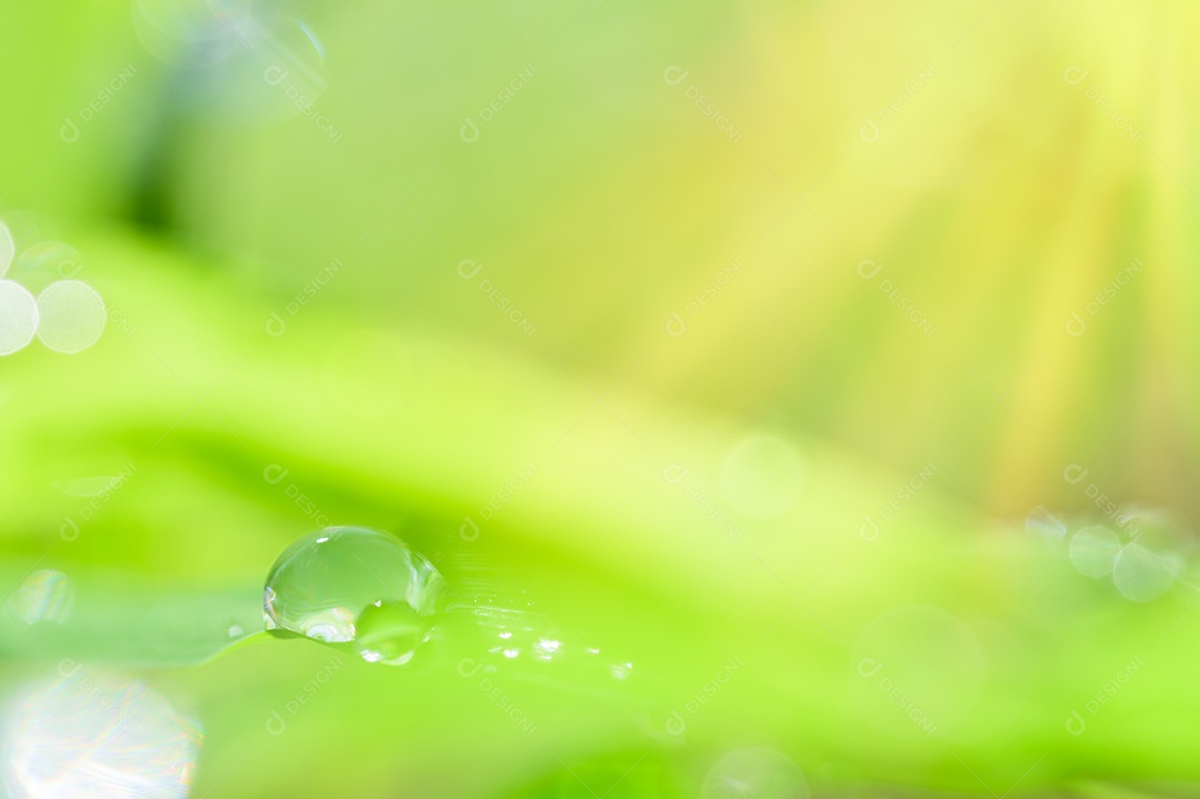 O conceito de amar o ambiente verde do mundo