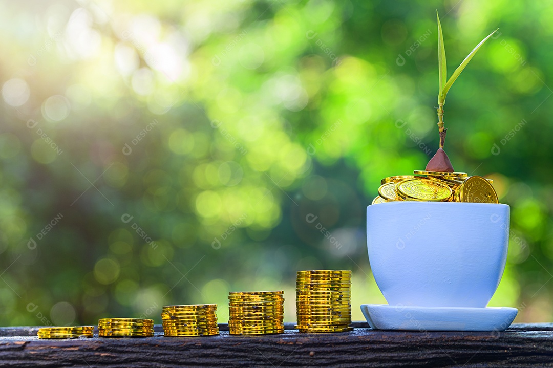 Conceito de economia de dinheiro e crescimento dos negócios