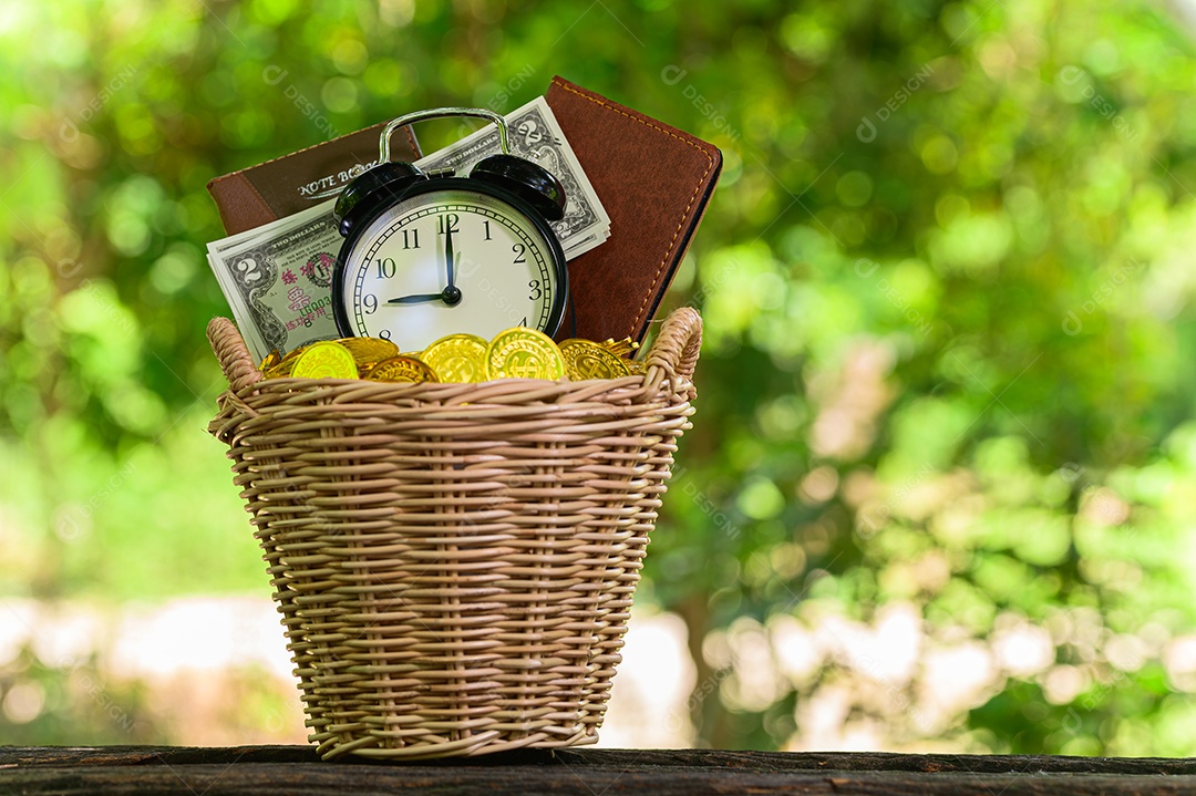 Planta crescendo em dinheiro de moedas de poupança fundo verde Bokeh