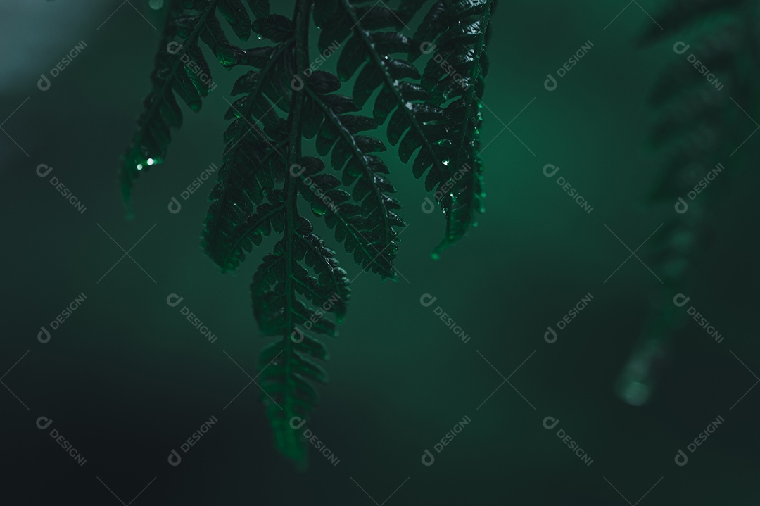 Fundo de conceito de gota de água de amor ambiental