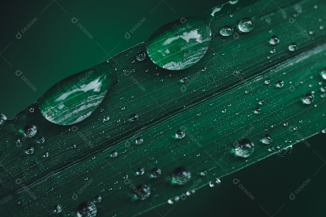 Fundo de conceito de gota de água de amor ambiental