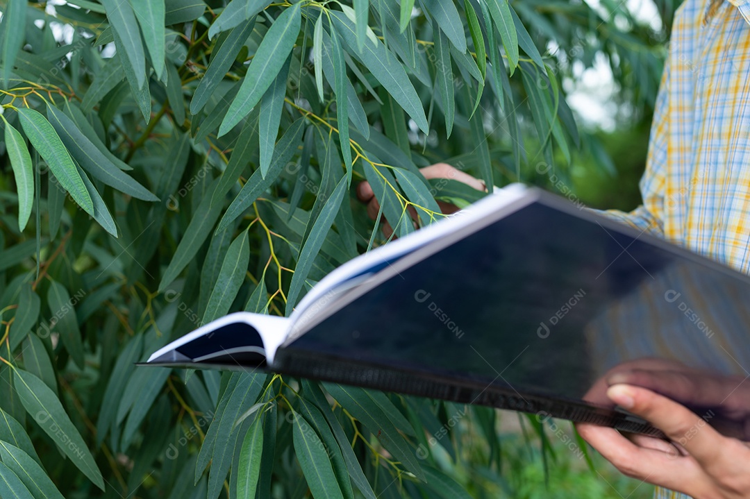 Os agricultores verificam a qualidade das árvores no jardim