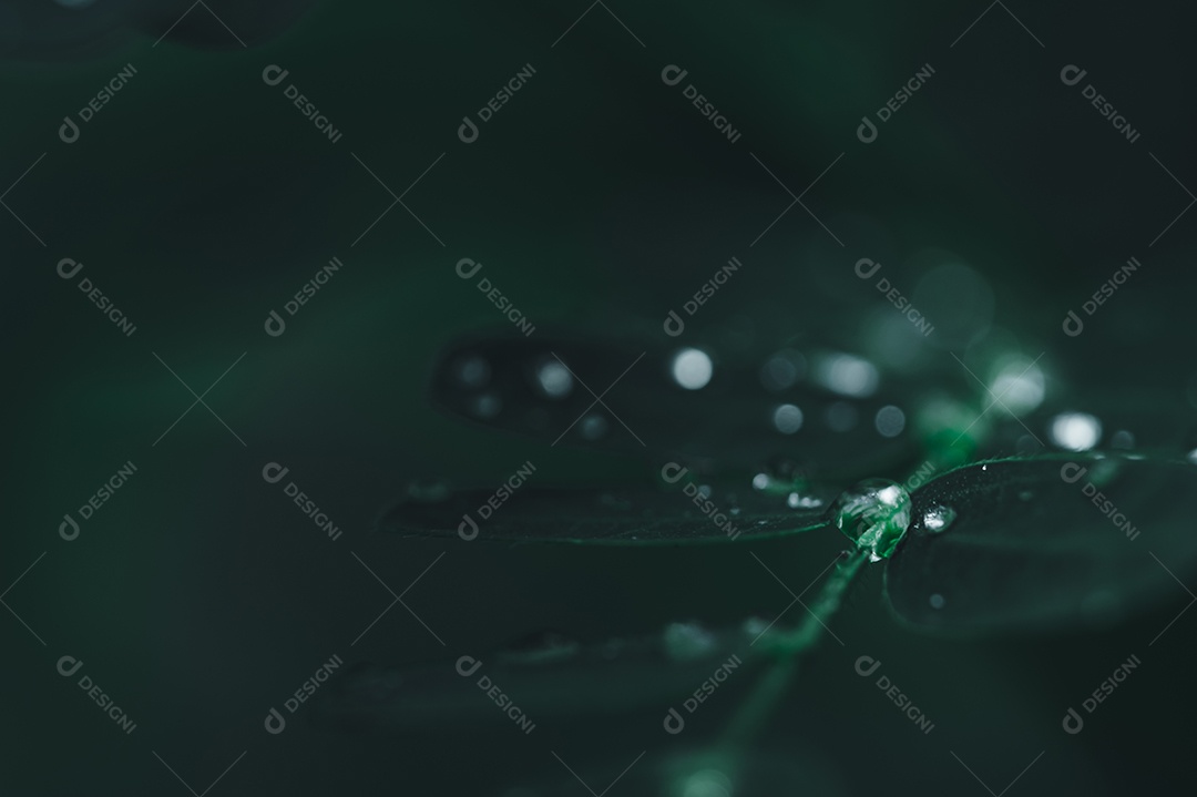 O conceito de amar o ambiente verde do mundo Gotas de água