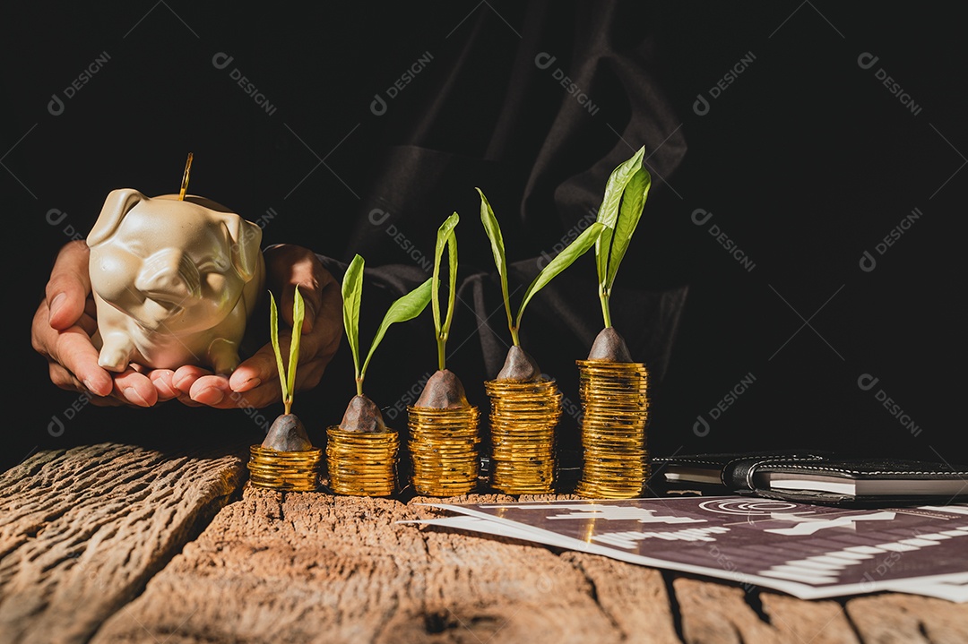 Conceito de crescimento de dinheiro nos negócios