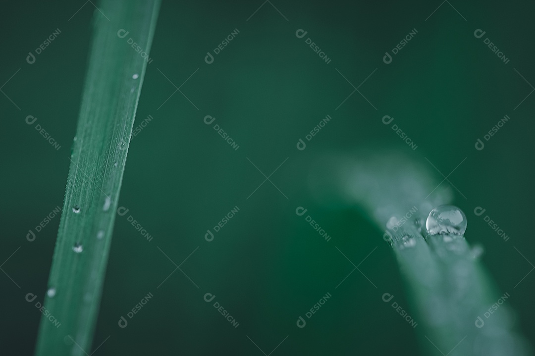 Fundo de conceito de gota de água de amor ambiental