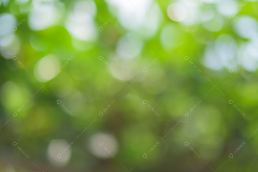 Bokeh de luz verde da luz natural