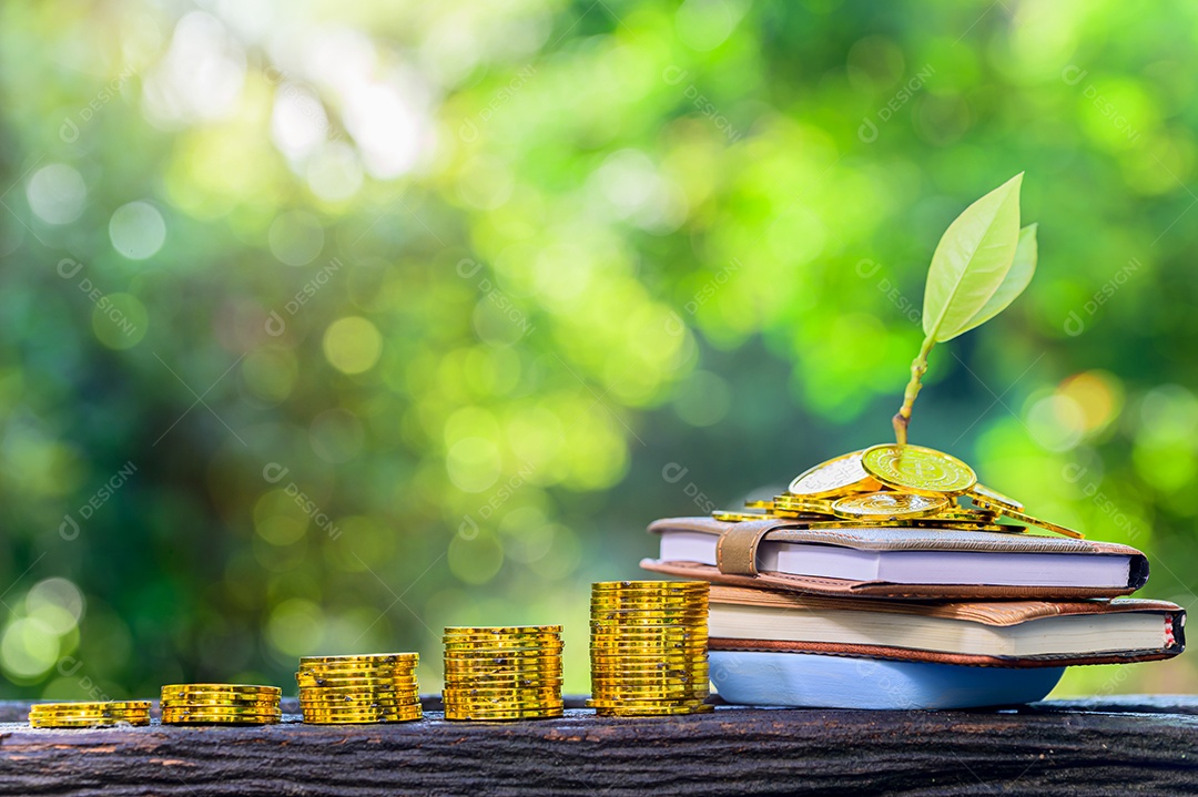 Conceito de economia de dinheiro e crescimento dos negócios