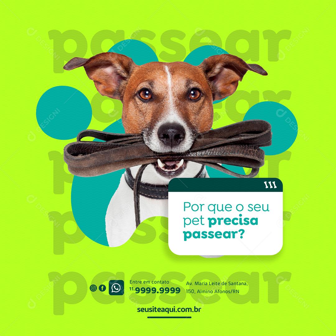 Por que o seu pet precisa passear Clínica Veterinária Social Media PSD Editável
