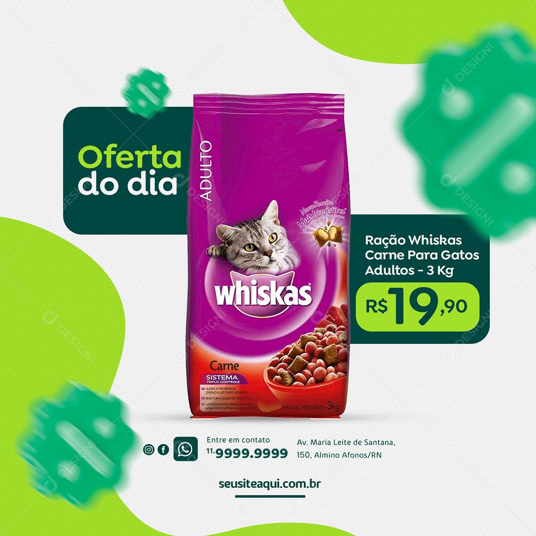 Oferta do dia Whiskas Clínica Veterinária Social Media PSD Editável