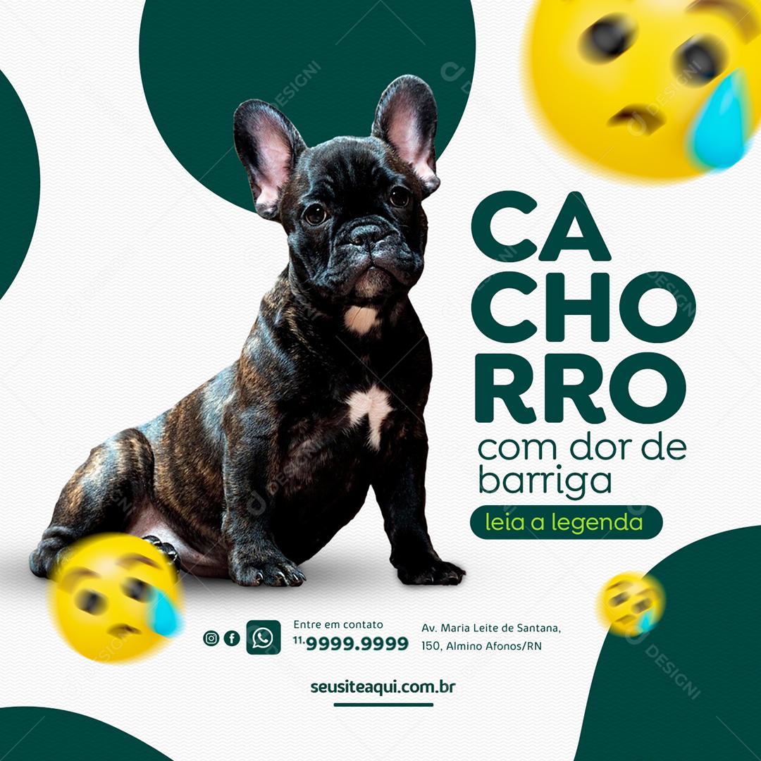 Cachorro com dor de barriga Clínica Veterinária Social Media PSD Editável