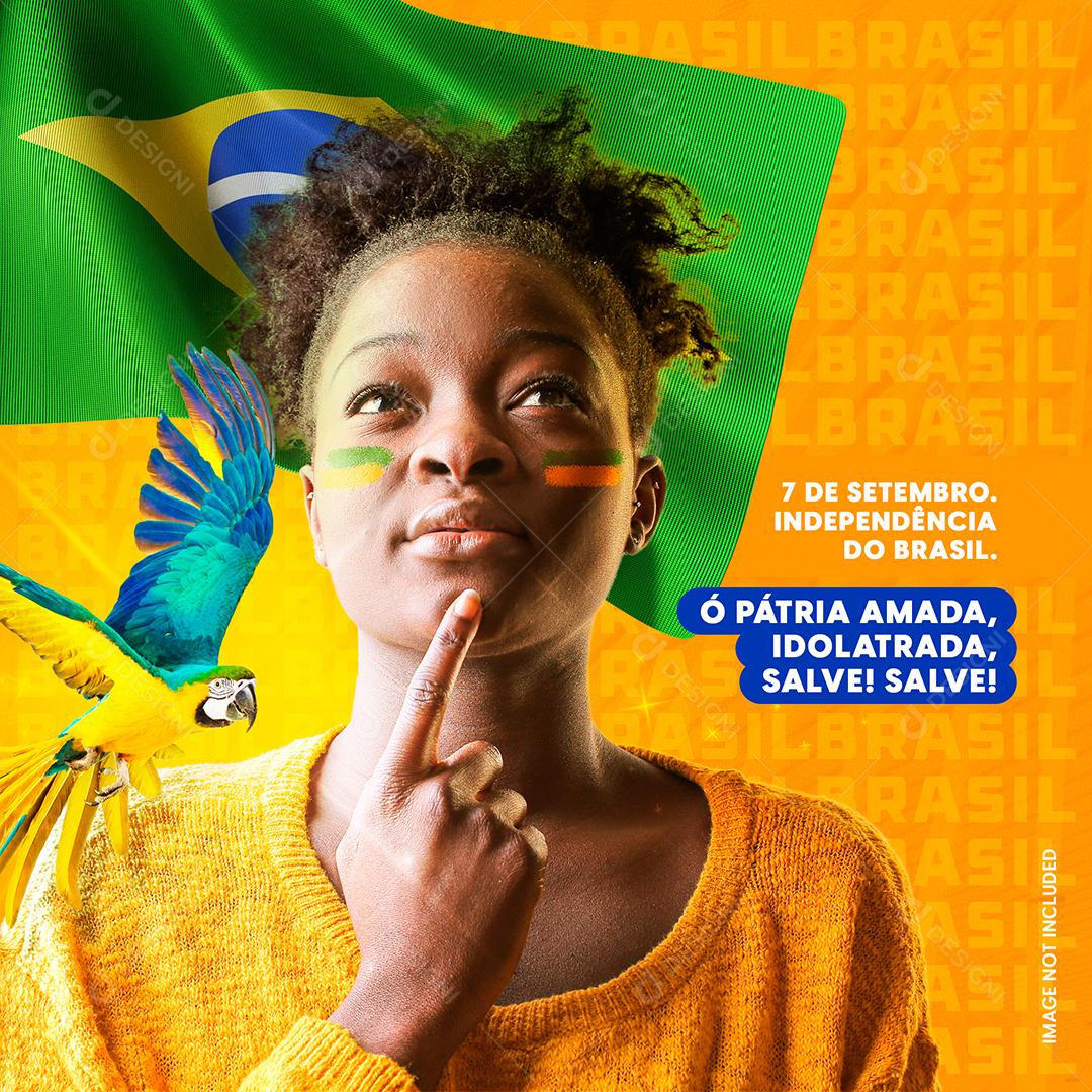 Dia 7 De Setembro Independência Do Brasil Social Media PSD Editável