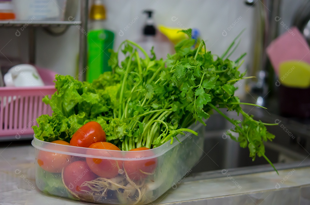 Prepare os legumes são colocados perto da pia para lavar aipo, alface, tomate.